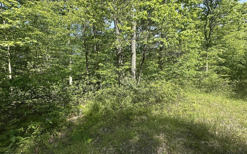 Lot 65 Pine Drive, Terra Alta, West Virginia 26764, ,Lots/land,For Sale,Pine,10165197 Lot 65 Pine Drive, Terra Alta, West Virginia 26764, ,Lots/land,For Sale,Pine,10165197