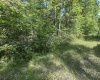 Lot 65 Pine Drive, Terra Alta, West Virginia 26764, ,Lots/land,For Sale,Pine,10165197 Lot 65 Pine Drive, Terra Alta, West Virginia 26764, ,Lots/land,For Sale,Pine,10165197