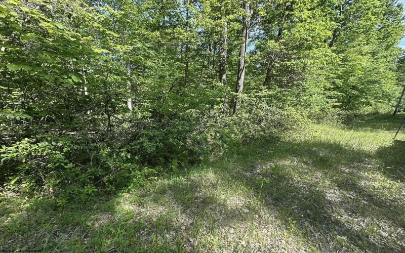Lot 65 Pine Drive, Terra Alta, West Virginia 26764, ,Lots/land,For Sale,Pine,10165197 Lot 65 Pine Drive, Terra Alta, West Virginia 26764, ,Lots/land,For Sale,Pine,10165197