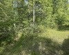 Lot 65 Pine Drive, Terra Alta, West Virginia 26764, ,Lots/land,For Sale,Pine,10165197 Lot 65 Pine Drive, Terra Alta, West Virginia 26764, ,Lots/land,For Sale,Pine,10165197