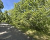 Lot 65 Pine Drive, Terra Alta, West Virginia 26764, ,Lots/land,For Sale,Pine,10165197 Lot 65 Pine Drive, Terra Alta, West Virginia 26764, ,Lots/land,For Sale,Pine,10165197