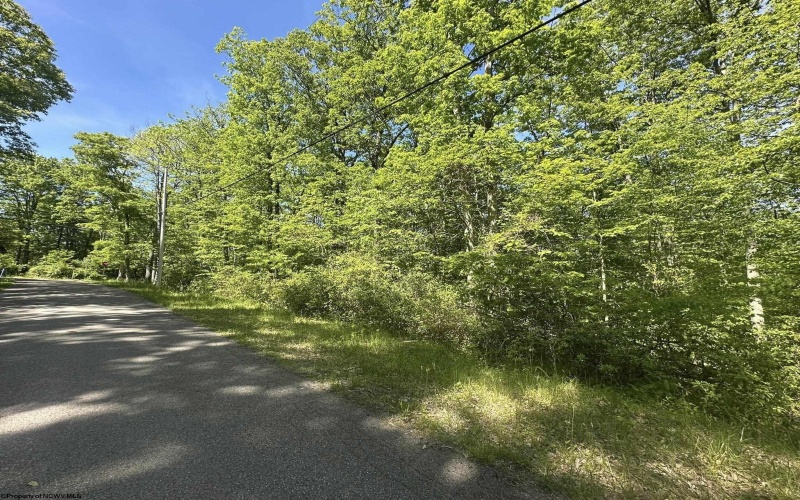 Lot 65 Pine Drive, Terra Alta, West Virginia 26764, ,Lots/land,For Sale,Pine,10165197 Lot 65 Pine Drive, Terra Alta, West Virginia 26764, ,Lots/land,For Sale,Pine,10165197