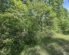 Lot 65 Pine Drive, Terra Alta, West Virginia 26764, ,Lots/land,For Sale,Pine,10165197 Lot 65 Pine Drive, Terra Alta, West Virginia 26764, ,Lots/land,For Sale,Pine,10165197