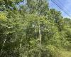 Lot 65 Pine Drive, Terra Alta, West Virginia 26764, ,Lots/land,For Sale,Pine,10165197 Lot 65 Pine Drive, Terra Alta, West Virginia 26764, ,Lots/land,For Sale,Pine,10165197