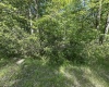 Lot 65 Pine Drive, Terra Alta, West Virginia 26764, ,Lots/land,For Sale,Pine,10165197 Lot 65 Pine Drive, Terra Alta, West Virginia 26764, ,Lots/land,For Sale,Pine,10165197