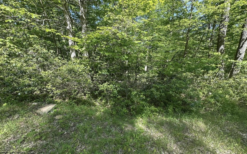 Lot 65 Pine Drive, Terra Alta, West Virginia 26764, ,Lots/land,For Sale,Pine,10165197 Lot 65 Pine Drive, Terra Alta, West Virginia 26764, ,Lots/land,For Sale,Pine,10165197