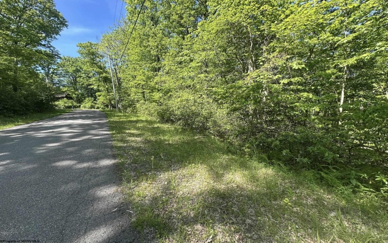 Lot 65 Pine Drive, Terra Alta, West Virginia 26764, ,Lots/land,For Sale,Pine,10165197 Lot 65 Pine Drive, Terra Alta, West Virginia 26764, ,Lots/land,For Sale,Pine,10165197