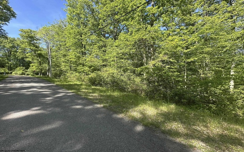 Lot 65 Pine Drive, Terra Alta, West Virginia 26764, ,Lots/land,For Sale,Pine,10165197 Lot 65 Pine Drive, Terra Alta, West Virginia 26764, ,Lots/land,For Sale,Pine,10165197
