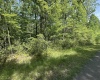 Lot 65 Pine Drive, Terra Alta, West Virginia 26764, ,Lots/land,For Sale,Pine,10165197 Lot 65 Pine Drive, Terra Alta, West Virginia 26764, ,Lots/land,For Sale,Pine,10165197