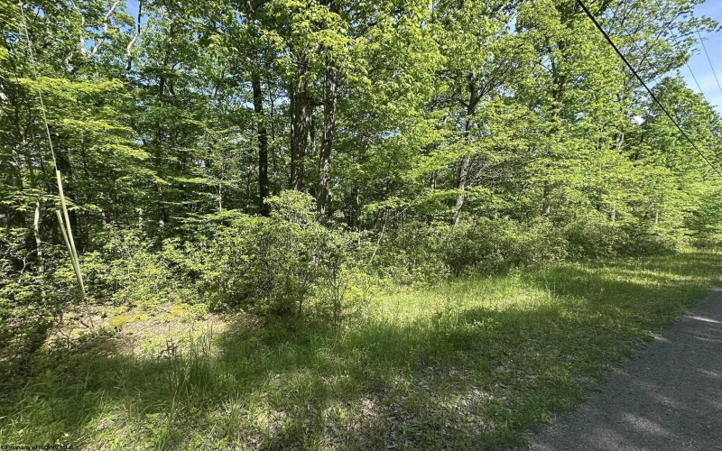 Lot 65 Pine Drive, Terra Alta, West Virginia 26764, ,Lots/land,For Sale,Pine,10165197 Lot 65 Pine Drive, Terra Alta, West Virginia 26764, ,Lots/land,For Sale,Pine,10165197