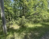 Lot 65 Pine Drive, Terra Alta, West Virginia 26764, ,Lots/land,For Sale,Pine,10165197 Lot 65 Pine Drive, Terra Alta, West Virginia 26764, ,Lots/land,For Sale,Pine,10165197