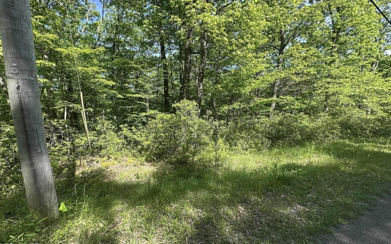 Lot 65 Pine Drive, Terra Alta, West Virginia 26764, ,Lots/land,For Sale,Pine,10165197 Lot 65 Pine Drive, Terra Alta, West Virginia 26764, ,Lots/land,For Sale,Pine,10165197