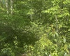 Lot 65 Pine Drive, Terra Alta, West Virginia 26764, ,Lots/land,For Sale,Pine,10165197 Lot 65 Pine Drive, Terra Alta, West Virginia 26764, ,Lots/land,For Sale,Pine,10165197