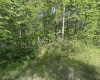 Lot 65 Pine Drive, Terra Alta, West Virginia 26764, ,Lots/land,For Sale,Pine,10165197 Lot 65 Pine Drive, Terra Alta, West Virginia 26764, ,Lots/land,For Sale,Pine,10165197