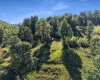 TBD Seng Run Road, French Creek, West Virginia 26218, ,Lots/land,For Sale,Seng Run,10165206
