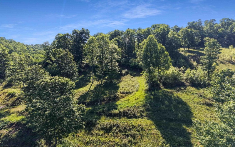 TBD Seng Run Road, French Creek, West Virginia 26218, ,Lots/land,For Sale,Seng Run,10165206