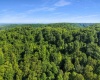 TBD Seng Run Road, French Creek, West Virginia 26218, ,Lots/land,For Sale,Seng Run,10165206