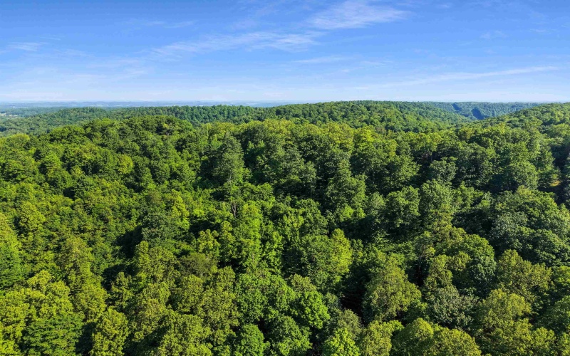 TBD Seng Run Road, French Creek, West Virginia 26218, ,Lots/land,For Sale,Seng Run,10165206