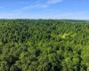 TBD Seng Run Road, French Creek, West Virginia 26218, ,Lots/land,For Sale,Seng Run,10165206