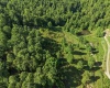 TBD Seng Run Road, French Creek, West Virginia 26218, ,Lots/land,For Sale,Seng Run,10165206