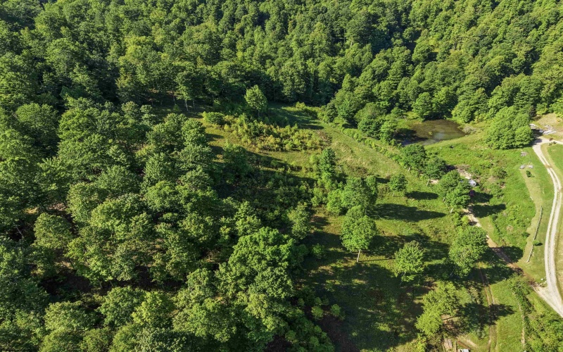 TBD Seng Run Road, French Creek, West Virginia 26218, ,Lots/land,For Sale,Seng Run,10165206