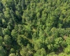 TBD Seng Run Road, French Creek, West Virginia 26218, ,Lots/land,For Sale,Seng Run,10165206