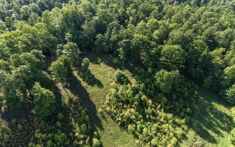 TBD Seng Run Road, French Creek, West Virginia 26218, ,Lots/land,For Sale,Seng Run,10165206