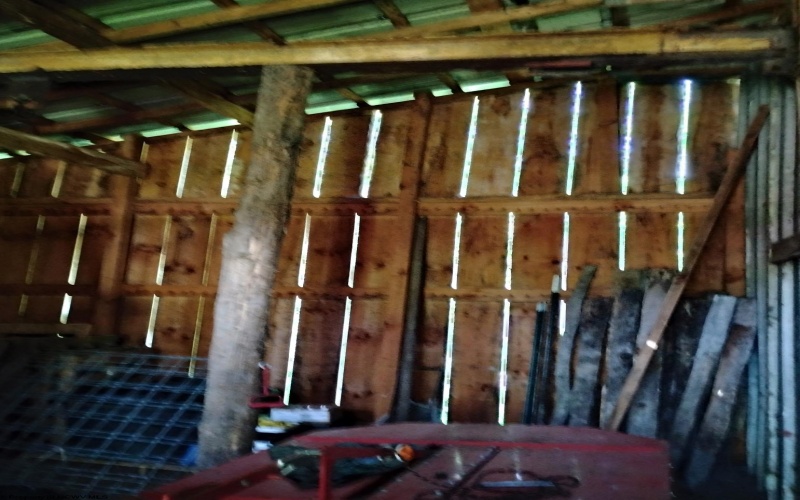 TBD Seng Run Road, French Creek, West Virginia 26218, ,Lots/land,For Sale,Seng Run,10165206
