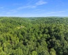 TBD Seng Run Road, French Creek, West Virginia 26218, ,Lots/land,For Sale,Seng Run,10165206