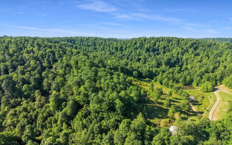 TBD Seng Run Road, French Creek, West Virginia 26218, ,Lots/land,For Sale,Seng Run,10165206