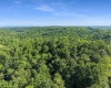 TBD Seng Run Road, French Creek, West Virginia 26218, ,Lots/land,For Sale,Seng Run,10165206