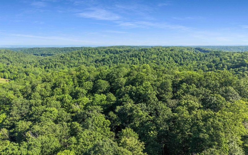 TBD Seng Run Road, French Creek, West Virginia 26218, ,Lots/land,For Sale,Seng Run,10165206