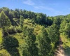 TBD Seng Run Road, French Creek, West Virginia 26218, ,Lots/land,For Sale,Seng Run,10165206