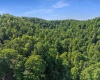 TBD Seng Run Road, French Creek, West Virginia 26218, ,Lots/land,For Sale,Seng Run,10165206