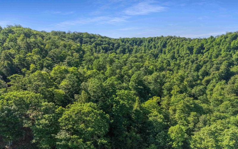 TBD Seng Run Road, French Creek, West Virginia 26218, ,Lots/land,For Sale,Seng Run,10165206
