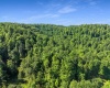 TBD Seng Run Road, French Creek, West Virginia 26218, ,Lots/land,For Sale,Seng Run,10165206