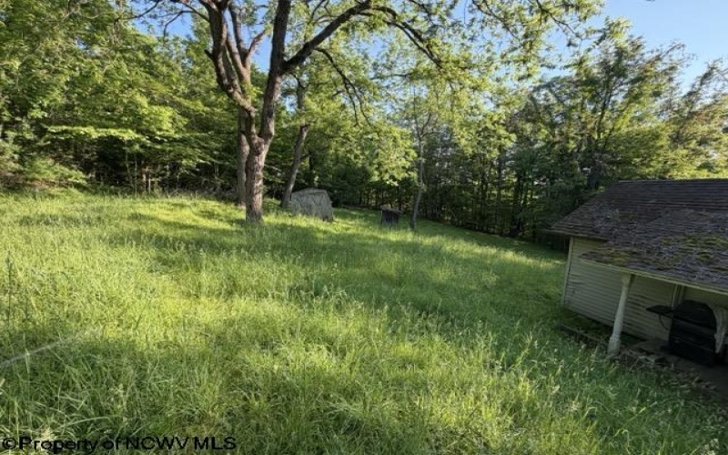 193 Halpine Street, Morgantown, West Virginia 26505, 1 Bedroom Bedrooms, 2 Rooms Rooms,Single Family Detached,For Sale,Halpine,10165194 193 Halpine Street, Morgantown, West Virginia 26505, 1 Bedroom Bedrooms, 2 Rooms Rooms,Single Family Detached,For Sale,Halpine,10165194