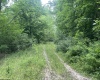 TBD Keiths Fork Road, Weston, West Virginia 26452, ,Lots/land,For Sale,Keiths Fork,10165215