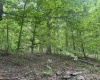 TBD Keiths Fork Road, Weston, West Virginia 26452, ,Lots/land,For Sale,Keiths Fork,10165215