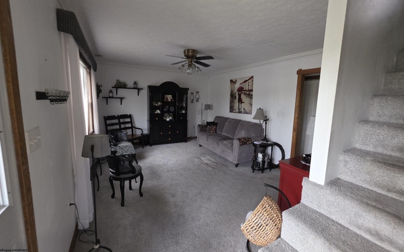 187 CAMDEN Avenue, Buckhannon, West Virginia 26201, 4 Bedrooms Bedrooms, 8 Rooms Rooms,3 BathroomsBathrooms,Single Family Detached,For Sale,CAMDEN,10165235