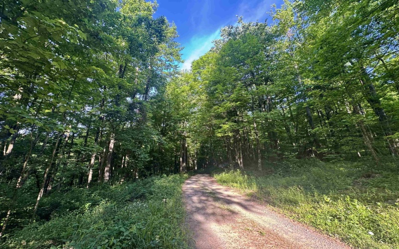 TBD Calvert Shaver Road, Rowlesburg, West Virginia 26425, ,Lots/land,For Sale,Calvert Shaver,10165251