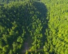TBD Calvert Shaver Road, Rowlesburg, West Virginia 26425, ,Lots/land,For Sale,Calvert Shaver,10165251