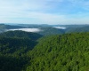 TBD Calvert Shaver Road, Rowlesburg, West Virginia 26425, ,Lots/land,For Sale,Calvert Shaver,10165251