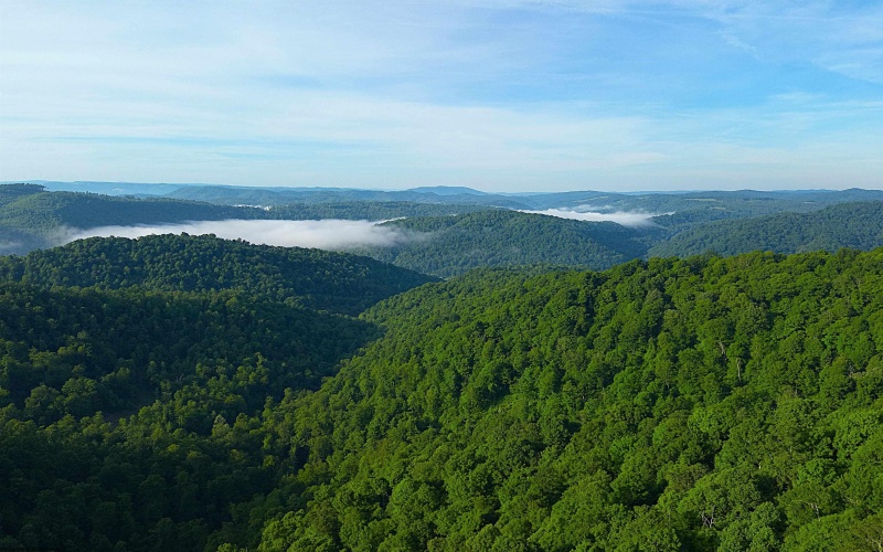 TBD Calvert Shaver Road, Rowlesburg, West Virginia 26425, ,Lots/land,For Sale,Calvert Shaver,10165251