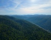 TBD Calvert Shaver Road, Rowlesburg, West Virginia 26425, ,Lots/land,For Sale,Calvert Shaver,10165251