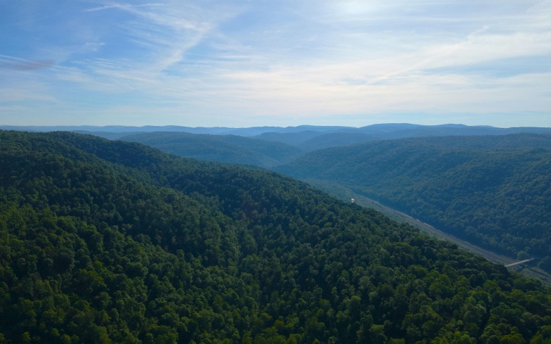 TBD Calvert Shaver Road, Rowlesburg, West Virginia 26425, ,Lots/land,For Sale,Calvert Shaver,10165251