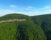 TBD Calvert Shaver Road, Rowlesburg, West Virginia 26425, ,Lots/land,For Sale,Calvert Shaver,10165251