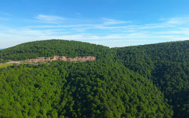 TBD Calvert Shaver Road, Rowlesburg, West Virginia 26425, ,Lots/land,For Sale,Calvert Shaver,10165251