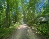 TBD Calvert Shaver Road, Rowlesburg, West Virginia 26425, ,Lots/land,For Sale,Calvert Shaver,10165251