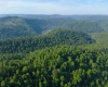 TBD Calvert Shaver Road, Rowlesburg, West Virginia 26425, ,Lots/land,For Sale,Calvert Shaver,10165251